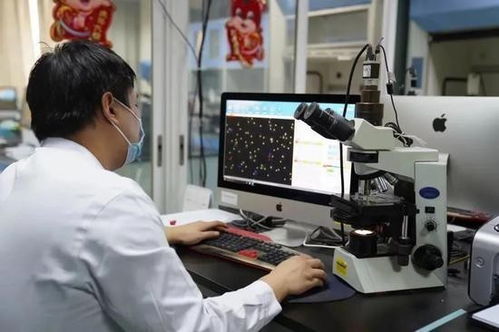 东莞的自助捐精平台真的存在吗？探索其服务模式和用户体验细节