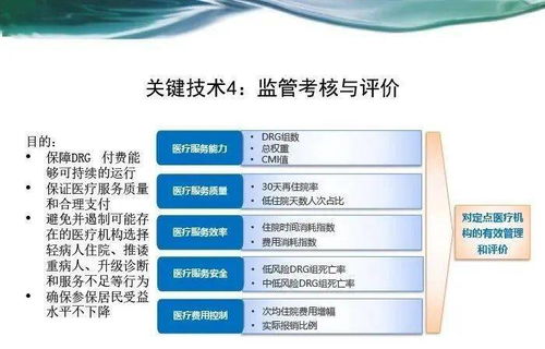 东莞自助餐业务承接流程是怎样的？如何确保服务质量和效率？