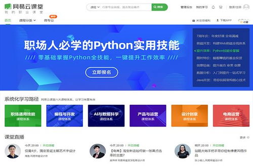中文网站为何如此青睐天自助服务？