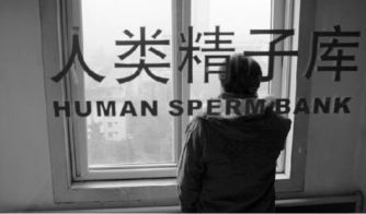 中国有哪些自助捐精平台？探索其运作模式与安全性