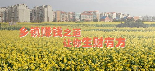 中国乡镇创业前景如何？赚钱机会多不多？