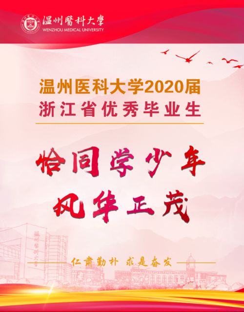 努力奋斗中的我，是否展现出了最美的风采？