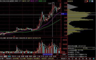 为何股市中不设止损反而能盈利？真相令人深思