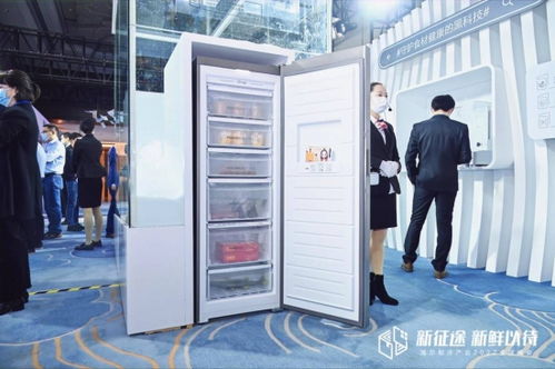 什么是自助冷藏平台，它如何改变我们的存储方式？