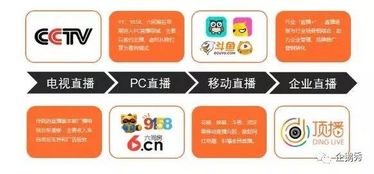 什么是自助直播问答平台，它如何提升互动体验与效率？