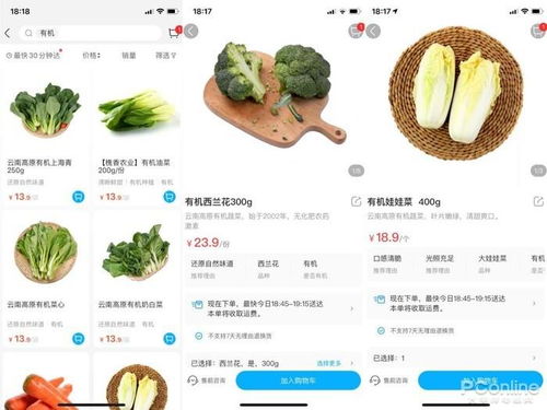 全网哪款自助下单平台速度最快，你知道吗？