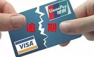 什么是自助信用卡业务？它如何让我们的金融操作更便捷？