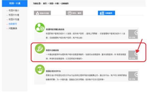 什么是校园网自助服务平台网站，它如何助力学生高效管理网络服务？