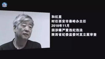 莱迪思究竟如何？其背后隐藏着怎样的故事？