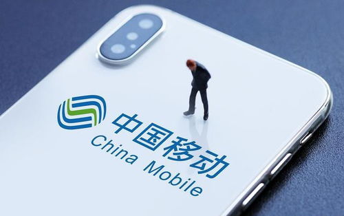 什么是移动自助下单平台，它如何提升购物体验？