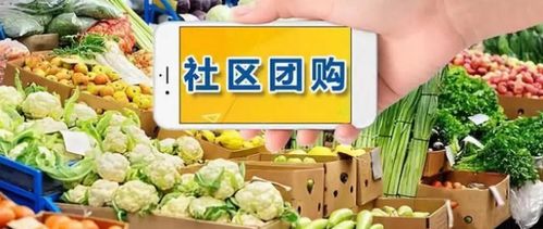 上城自助餐团购，哪个网络平台优惠力度最大？