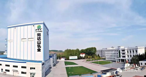 江苏江安集团和江苏江安有限公司的实力与发展前景如何？