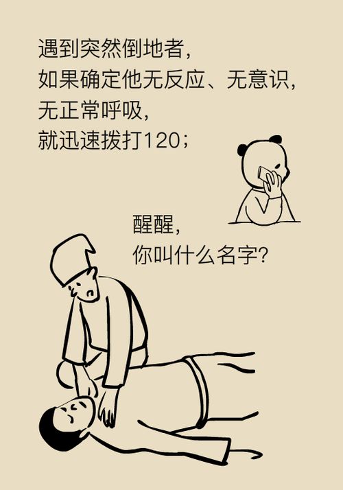 会被如何使用呢？