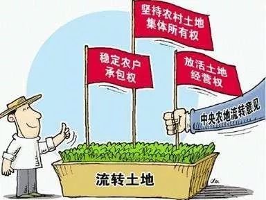 农民如何找到高收益的致富途径？