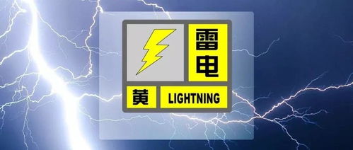 主要是关于雷电自助平台的介绍