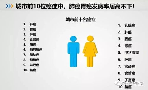创客属于哪种副业类型？详解创客副业的独特之处