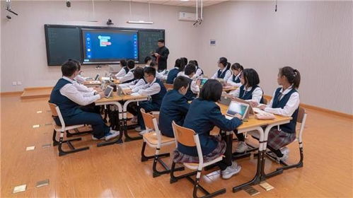 保定三中自助招生网站如何访问？探索官方招生信息自助服务平台