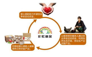 养鸡能否成为致富捷径？经济效益深度探讨