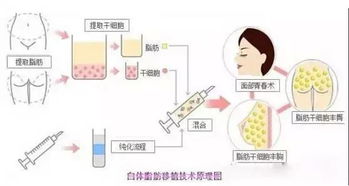 如何精准描绘个人性格及其独特特点？