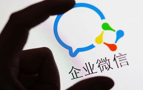 什么是流量池自助平台？它如何助力企业高效管理流量？