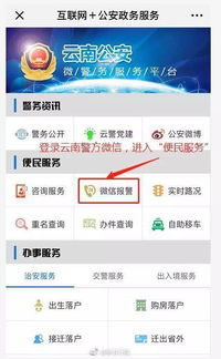 云南有哪些官方自助报警平台？如何访问官网进行报警？