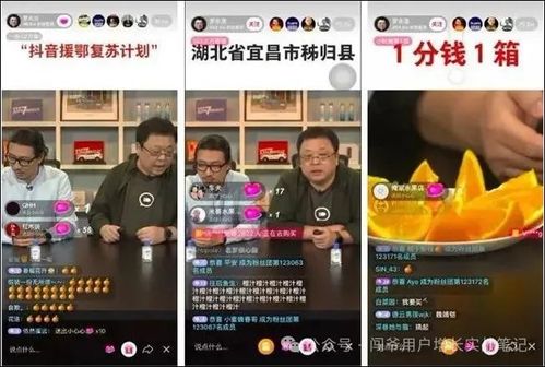 如何联系直播海南记者？在线帮助电话是多少？