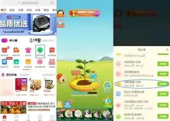 什么是自助杂货直播平台，它如何改变我们的购物方式？