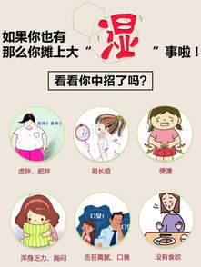 渗湿止泻的含义是什么？如何理解这一中医概念？