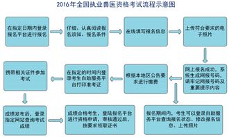 兽医师如何利用网络自助平台提升执业效率？