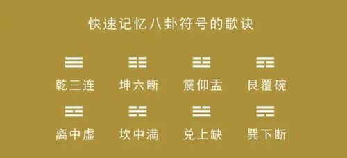 粉象生活究竟是什么类型的微商？这个平台到底有何特别之处？