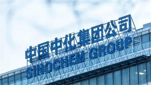 恒生集团与长乐恒生集团业务范围有何不同？