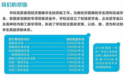 你想知道哪个平台是专业的网络自助设计官网吗？