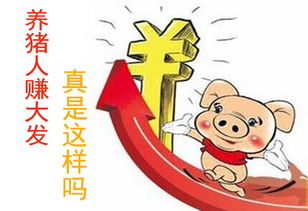 养小鸡赚钱有诀窍吗？新手必看养殖盈利技巧视频