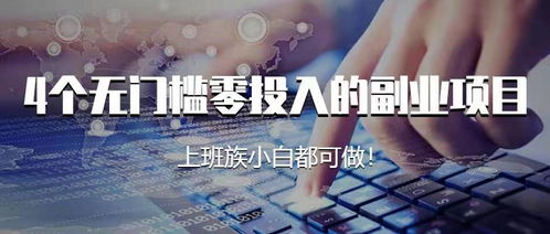 如何选择并成功运营低投入的副业小项目？