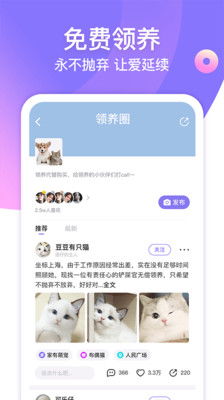 什么是共享宠物自助服务平台，它如何改变我们的养宠方式？