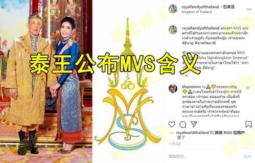 皇后为何悄然涉足副业？宫廷小说揭开隐秘篇章
