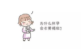 主要是想了解
