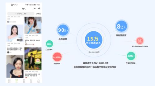 手赚网开源源码真的能助你实现财富自由吗？