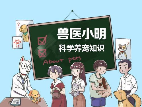 兽医专业学生如何选择合适的副业岗位？