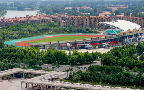 高密本地最新动态你知道吗？错过这些信息你就out了！