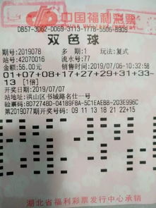 什么是自助彩票平台，它如何为彩民提供便利？
