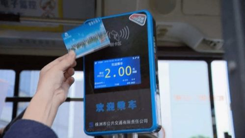 什么是电脑自助发卡平台，它如何实现高效便捷的发卡服务？
