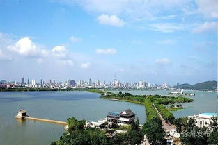 云龙湖区域的自助团购平台哪家强？探索最佳团购选择！