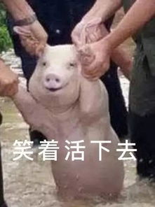 哭泣也能致富？揭秘哭赚钱的真相是什么？