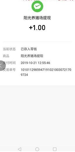 今日头条养猪真的能赚钱吗？深入探讨其盈利可能性