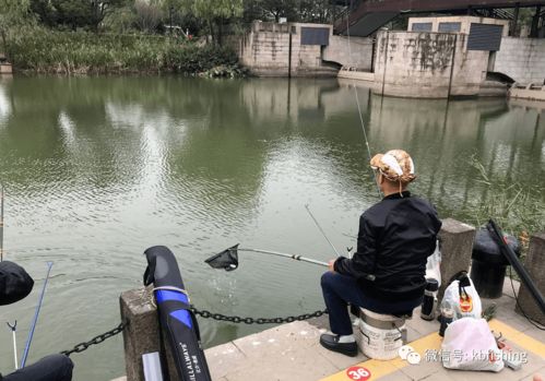 什么是自助垂钓平台，它如何为钓鱼爱好者提供便利？