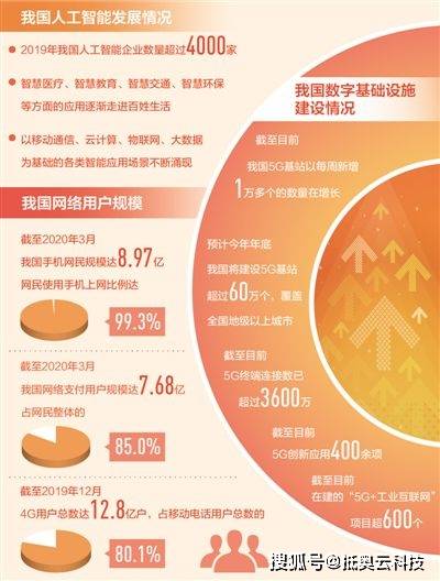 你想知道如何高效使用司法局自助网站吗？这里有哪些服务功能？