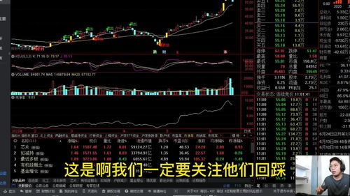 新手如何选择股票购买软件？入门指南详解