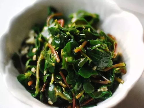 农村常见却不赚钱的野菜有哪些你知道吗？