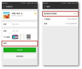 如何快速找到9位数的微信群群号？位置藏在哪里你知道吗？